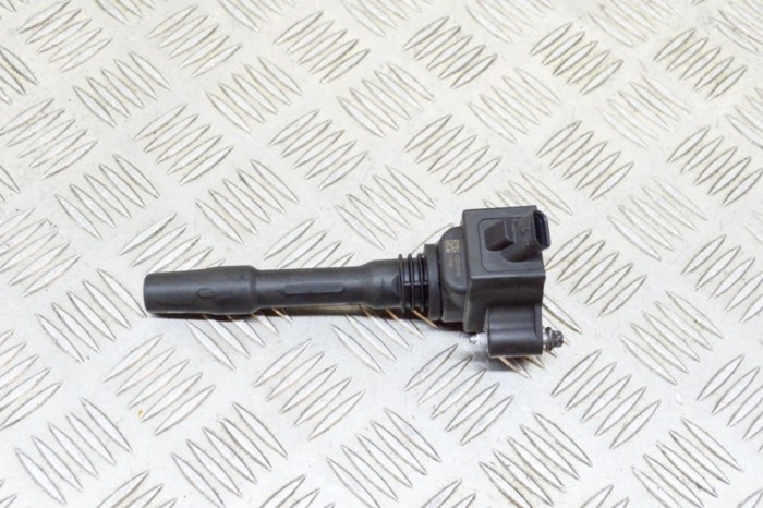Bobina de inducție de &icirc;naltă tensiune BMW 4 Coupe F32, F82 2018 OEM: 8643360,77850002 13353983