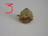 QW14 - Emblema militara - Comunism - Garzi patriotice - piesa de colectie