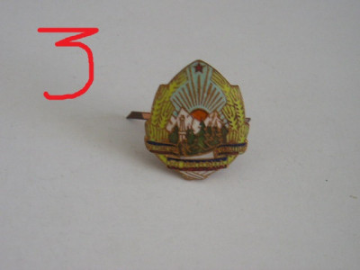 QW14 - Emblema militara - Comunism - Garzi patriotice - piesa de colectie foto
