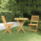 vidaXL Set mobilier grădină pliabil, 3 piese, lemn masiv acacia