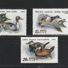 U.R.S.S. 1991-Fauna,Pasari,Rate,serie 3 valori,dantelate,MNH,Mi.6210-6212