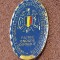 Insigna militara - UNIUNEA NATIONALA a CADRELOR MILITARE in REZERVA si in RETRAGERE