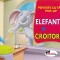 Carte pop-up. Elefantul si croitorul - Aramis