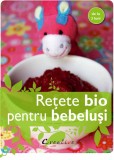 Retete bio pentru bebelusi | Emilie Hebert, Didactica Publishing House