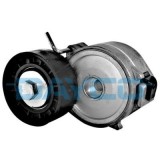 Intinzator curea, curea distributie DAYCO APV2424