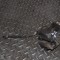 Etrier de fr&acirc;nă dreapta față LAND ROVER RANGE ROVER EVOQUE L538 2015 OEM: Off-road | 11833103