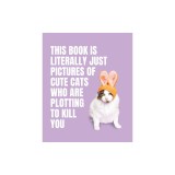 This Book Is Literally Just Pictures of Cute Cats Who Are Plotting to Kill You