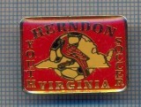 AX 1011 INSIGNA-YOUTH SOCCER HERNDON VIRGINIA -CLUB FOTBAL- SUA -PT COLECTIONARI