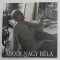 ABODI NAGY BELA , EXPOZITIE RETROSPECTIVA , 2004