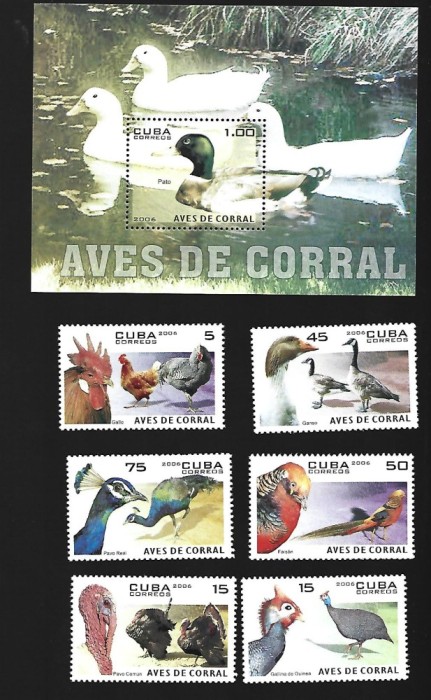 cuba pasari mnh