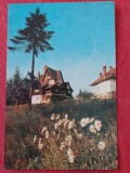 CPIB 23452 CARTE POSTALA - VILE LA PREDEAL, CIRCULATA, 1968, STAMPILE, TIMBRU, Fotografie