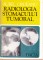 Foto  - 1