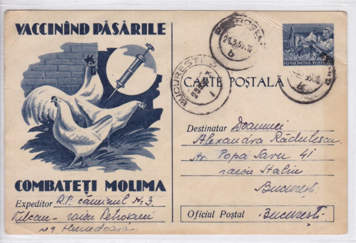 VACCINAND PASARILE COMBATETI MOLIMA CIRCULATA 1959