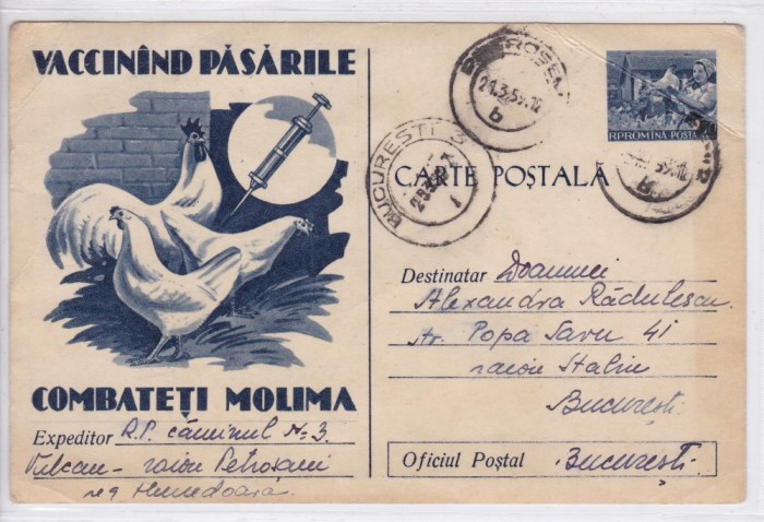 VACCINAND PASARILE COMBATETI MOLIMA CIRCULATA 1959