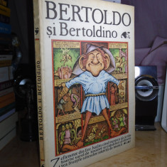 BERTOLDO SI BERTOLDINO , ILUSTRATIILE SILVIU BAIAS , 1984 ( CARTONATA )
