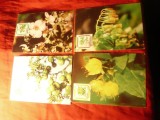 4 Maxime Azore cu seria 1983 Flora nationala