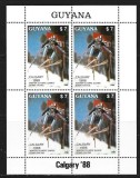 Guyana 1988 - Jocurile Olimpice Calgary, schi, bloc neuzat