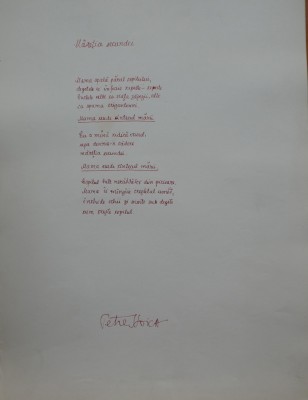 Manuscris de expozitie scris olograf de poetul Petre Stoica, poezia Maretia secundei foto