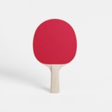 Paletă rezistentă Tenis de masă PPR 100