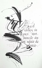 Bogdan Tanase Marinescu - Abstractie caligrafica - Haiku Daigaku, 2023