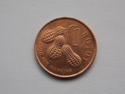 1 butut 1985 Gambia-FAO foto