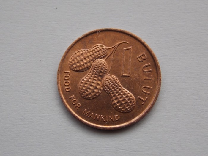 1 butut 1985 Gambia-FAO