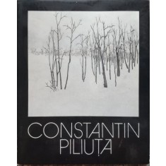 Peisajele Amintirii - Constantin Piliuta , E673