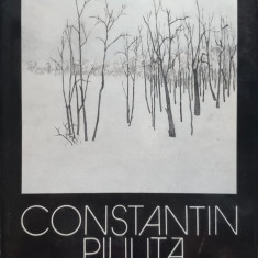 Peisajele Amintirii - Constantin Piliuta ,557558