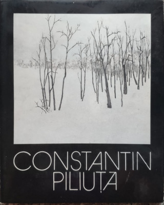 Peisajele Amintirii - Constantin Piliuta , E673 foto