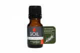 Ulei esential Cedarwood- Cedru 100% Organic, 10ml, Soil