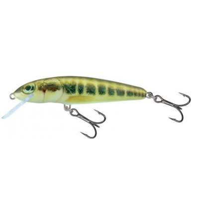 VOBLER SALMO MINNOW SINKING, MINNOW, 5CM, 5G foto