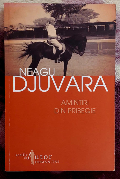 Amintiri din pribegie - Neagu Juvara