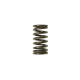 Arc supapa admisie Yamaha YZF 450 10- 16
