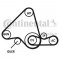 Set curea transmisie cu caneluri FIAT DUCATO platou / sasiu (230) (1994 - 2002) CONTITECH 6PK995D1