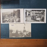 Lot 3 carti postale SINAIA CASTEL PELES