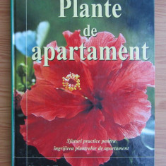 Jane Courtier - Plante de apartament