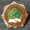 Insigna pin - Academia Internaționala de aplicare a legii, Budapesta
