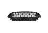 Grila radiator Ford Kuga, 12.2019-05.2024; Escape, 04.2019-, montare fata, lucios, negru/negru, RapidAuto
