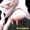 Aerosmith Get A Grip reissueremastered (cd)
