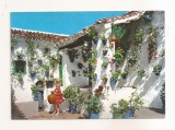 FA161 - Carte Postala - SPANIA - Tipico patio Andaluz, necirculata