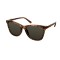 Ochelari de Soare Damă Guess GF0421-5553N &Oslash; 55 mm