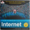 Internet. Ghid complet - Peter Buckley, Duncan Clark - Carte IT