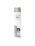 Vopsea Spray Jante Argintie Brilliante, 600ml, Metal/Lemn/Plastic, Uscare Rapida