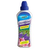 Ingrasamant pentru lavanda si leandru, Agro CS, lichid, 1 L