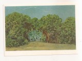 FA133 -Carte Postala - RUSIA - State Tretyakov Gallery - K.A. Somov. Summer landscape, necirculata 1968