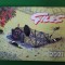 Giles - The collection 2021 - 160 pagini caricaturi cu explicații, 28/21 cm