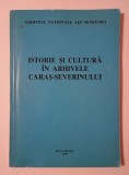 Istorie și cultură &icirc;n arhivele Caraș-Severinului - &icirc;ndrumător