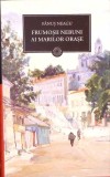 Frumoșii Nebuni ai Marilor Orașe - Fănuș Neagu - Litera, 2011, Hardcover - Roman Rom&acirc;nesc