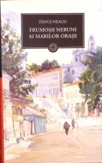 FRUMOSII NEBUNI AI MARILOR ORASE-FANUS NEAGU-274422 foto