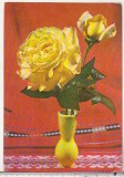 Bnk cp Felicitare cod 623/71 - Flori - circulata - marca fixa